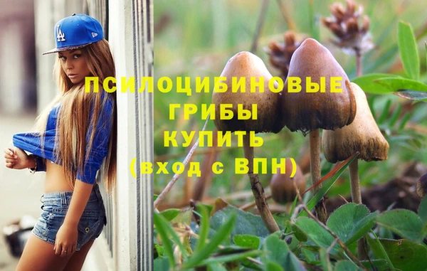 индика Майский