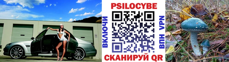 Псилоцибиновые грибы Psilocybine cubensis  Чудово 